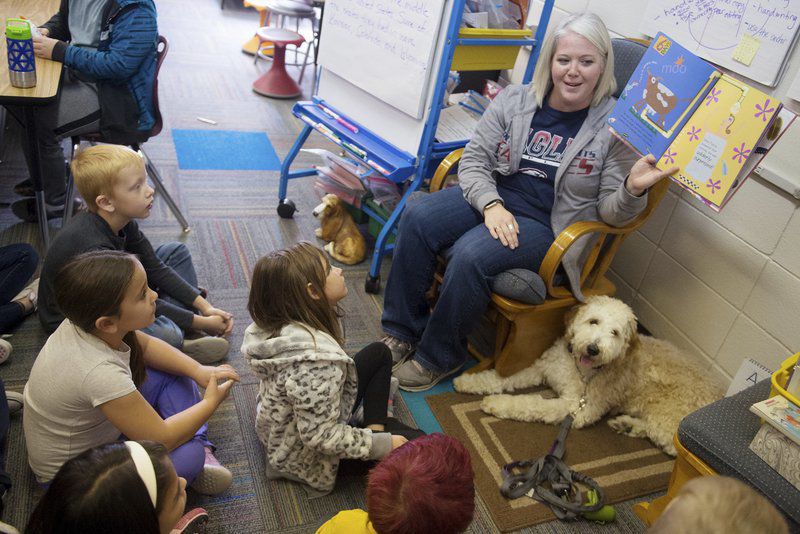 School dogs earn A+ at Royal Heights